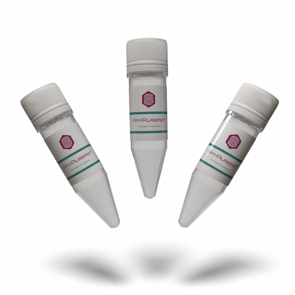pECMV-Piezo1-m-FLAG Plasmid